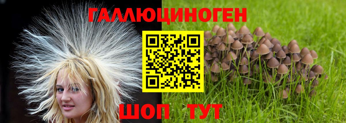 Псилоцибиновые грибы ЛСД  купить   Ахтубинск  Вход с VPN 